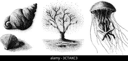 Illustration détaillée des coquillages, des coraux et de la vie marine. Illustration de Vecteur