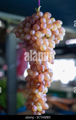 bouquet suspendu de raisins dorés roses, fraîchement cueillis et prêts à être vendus sur un stand de marché, capturant la lumière naturelle et la texture Banque D'Images