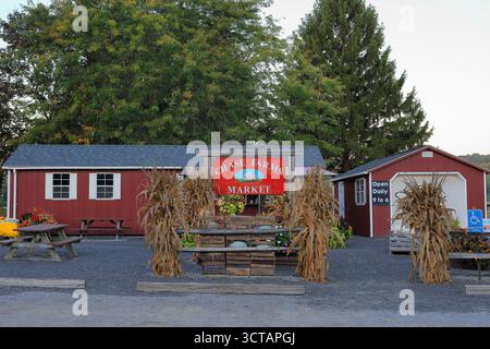 Perinton, NY, États-Unis - 30 septembre 2025 - marché Chase Farms offrant des balles de paille saisonnières, des mamans et un labyrinthe de maïs Banque D'Images