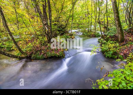 Gorge d'Oirase en automne (préfecture d'Aomori) Banque D'Images
