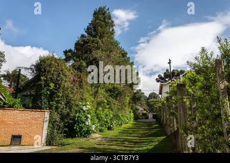 Un chemin de quartier calme bordé de haies vertes, de buissons fleuris et de grands arbres près de l'avenue Monte Verde sous un ciel bleu nuageux. Banque D'Images