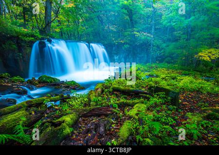 Gorge d'Oirase et chutes de Choshi en automne (préfecture d'Aomori) Banque D'Images