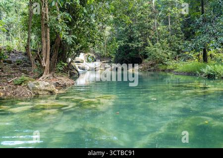 Une piscine isolée, naturelle vert émeraude avec une eau cristalline et une petite cascade dans une jungle tropicale dense et calme. Banque D'Images
