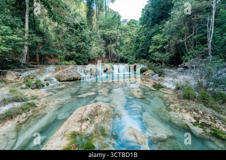 Une vue panoramique sur une rivière peu profonde et claire qui coule sur des formations rocheuses calcaires étagées et de petites cascades, entourée d'une forêt tropicale dense. Banque D'Images