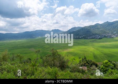 Vue aérienne des rizières uniques en toile d'araignée avec des rizières vertes vives entourées de maisons rurales et de collines luxuriantes. Banque D'Images