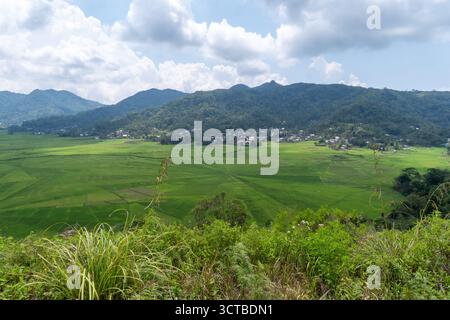 Vue aérienne des rizières uniques en toile d'araignée avec des rizières vertes vives entourées de maisons rurales et de collines luxuriantes. Banque D'Images