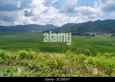 Vue aérienne des rizières uniques en toile d'araignée avec des rizières vertes vives entourées de maisons rurales et de collines luxuriantes. Banque D'Images