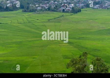 Vue aérienne des rizières uniques en toile d'araignée avec des rizières vertes vives entourées de maisons rurales et de collines luxuriantes. Banque D'Images