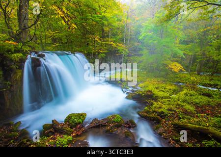 Gorge d'Oirase et chutes de Choshi en automne (préfecture d'Aomori) Banque D'Images