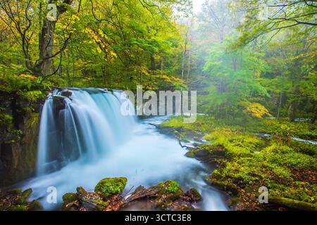 Gorge d'Oirase et chutes de Choshi en automne (préfecture d'Aomori) Banque D'Images