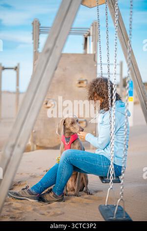 Femme donne une petite récompense ou un régal à son chien obéissant Weimaraner, qui est assis patiemment à côté d'elle sur une balançoire dans une aire de jeux de plage de sable Banque D'Images