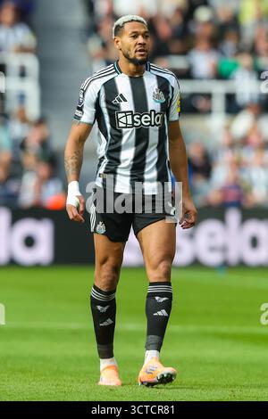 Newcastle, Royaume-Uni. 05 octobre 2025. Joelinton de Newcastle United lors du Newcastle United FC contre Nottingham Forest FC English premier League match à St.James' Park, Newcastle, Angleterre, Royaume-Uni le 5 octobre 2025 crédit : Lee Keuneke/Every second Media crédit : Every second Media/Alamy Live News Banque D'Images