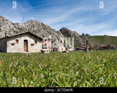Maisons traditionnelles en pierre dans un paysage de pâturages de montagne avec une herbe verte vibrante et un ciel bleu - cabanes de bergers asturiens (majadas) placées contre la RU Banque D'Images