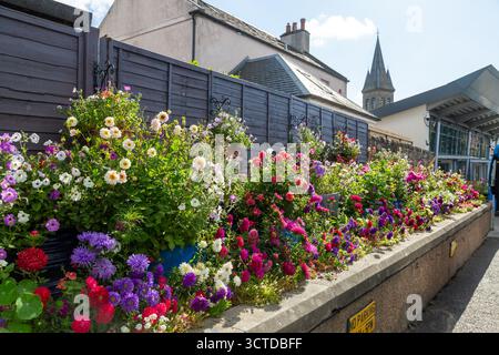 Belle exposition florale à la gare routière de St Andrews. Planté et pris en charge par l'un des chauffeurs de bus, Fife, Écosse Banque D'Images