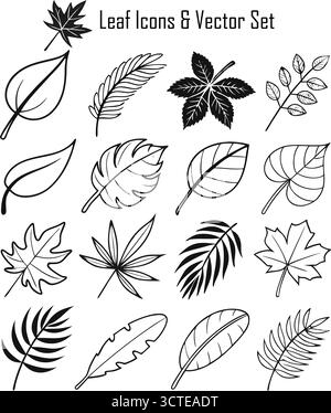 Ensemble d'icônes de feuilles, Collection de symboles de feuillage vert, nature, écologie et illustration vectorielle botanique Illustration de Vecteur