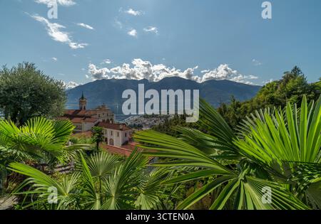 Journée chaude ensoleillée d'été avec des plantes vertes et un ciel bleu à Locarno Suisse 09 11 2025 Banque D'Images