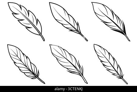 Collection de dessins de contour de plumes noir et blanc Illustration de Vecteur
