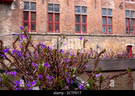 Architecture historique dans les rues de Bruges, Belgique. Paysage urbain de Bruges. Banque D'Images