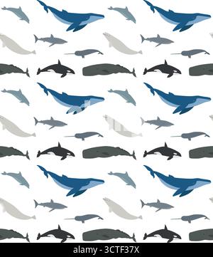 Vecteur modèle sans couture de baleines dessinées à la main plate Illustration de Vecteur