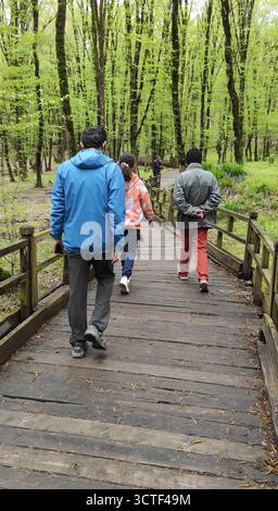 Un groupe de personnes marchant sur un chemin en bois à travers une forêt verdoyante. Banque D'Images