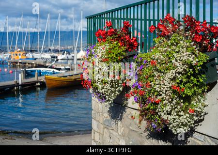 Des pots de fleurs vibrants débordant de fleurs rouges, blanches et violettes, installés contre une marina à Yvoire avec des bateaux et un ciel nuageux Banque D'Images