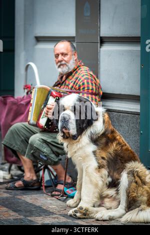 Un musicien de rue avec un accordéon est assis à côté d'un grand chien Saint Bernard à Prague, en République tchèque, le 3 juillet 2024 Banque D'Images