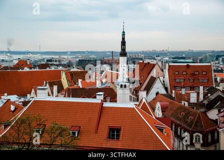 Tallinn, Estonie - 10 mai 2013 - toits historiques et horizon de tallinn avec vue sur la tour emblématique. Banque D'Images