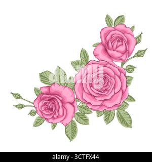 beau bouquet avec trois roses roses et feuilles roses. Arrangement floral. Illustration de Vecteur