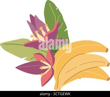 Bananes colorées et illustrations de fleurs avec des feuilles vertes. Illustration de Vecteur