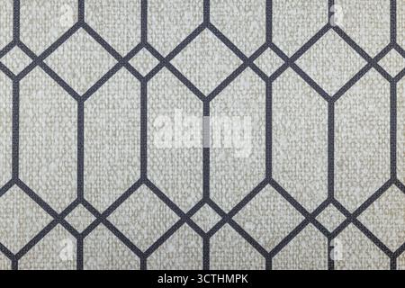 Texture géométrique de papier peint en treillis avec des lignes marines sur fond gris clair Banque D'Images