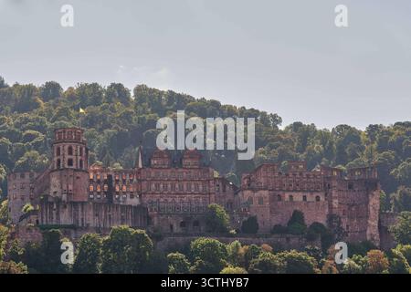 Heidelberg, Deutschland 01.10.2025 : Im Bild : Das Heidelberger Schloss AM 1. Oktober 2025, aufgenommen mit Blick von der Altstadt auf die monumentale Schlossruine am Nordhang des Königstuhls. Die mächtigen Mauern und Renaissancefassaden aus rotem Sandstein leuchten im milden Herbstlicht. DAS Wahrzeichen Heidelbergs zählt zu den bedeutendsten Burgruinen Europas und symbolisiert die Blütezeit der Kurpfalz. Baden Württemberg Hessen *** Heidelberg, Allemagne 01 10 2025 sur l'image Château de Heidelberg le 1er octobre 2025, vue de la vieille ville sur les ruines du château monumental au nord Banque D'Images