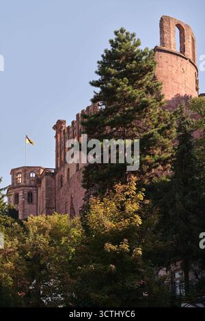 Heidelberg, Deutschland 01.10.2025 : Im Bild : Blick auf das Heidelberger Schloss am Nachmittag des 1. Oktober 2025, eingebettet in herstliches Grün über der Altstadt von Heidelberg Baden-Württemberg. Die mächtige Schlossruine aus rotem Sandstein Gilt als Wahrzeichen der Stadt und Symbol deutscher Romantik. IM Bild sind der Rundturm und Teile der Westfassade mit der badischen Flagge zu erkennen. Baden Württemberg *** Heidelberg, Allemagne 01 10 2025 en photo vue du château de Heidelberg dans l'après-midi du 1er octobre 2025, encastré dans un écrin de verdure automnal au-dessus de la vieille ville de Heidelberg Baden WÜ Banque D'Images
