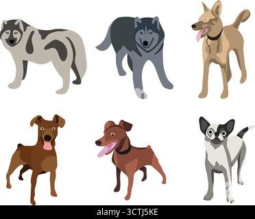 Illustration isolée vectorielle d'un ensemble de différentes races de chiens. Illustration de Vecteur