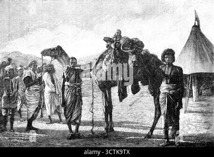 Illustrations de "The Wild Tribes of the Soudan", par Mr. F. L. James, F.R.G.S., Arrival of Meat in camp, 1883. 'Des livres sur le Soudan sont susceptibles d'être demandés tout à l'heure ; et nous pouvons en recommander... un publié par Mr. Murray cette semaine, à partir duquel nous sommes autorisés à emprunter quatre illustrations. L'auteur... a passé quatre mois, de décembre à avril 1882, dans une expédition sportive d'Afrique de l'est... la race Bas&#xe9 ; ou Kunama, habitant plus haut le Khor el Gash vers l'Abyssinie, ont été moins connues ; et le récit de M.R. James à leur sujet est d'une certaine valeur. Pour cette raison, ainsi que pour les anecdotes Banque D'Images