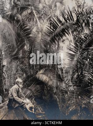 Zimbabwe : membre de la British Association assis dans un ravin de palmiers, 1905. Banque D'Images