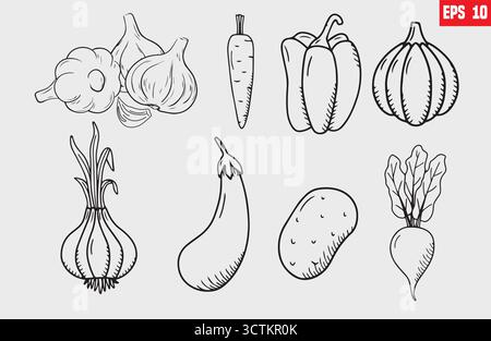 Ensemble de contours de légumes. Carotte, pomme de terre, champignon, poivre, avocat, citrouille, brocoli, chou, navet, aubergine. Légumes biologiques frais. Illustration de Vecteur
