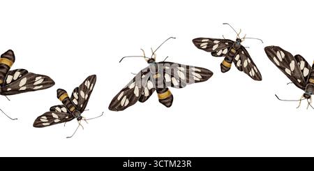 Bordure d'aquarelle sans couture avec des papillons noirs Amata phegea également connu sous le nom de papillon à neuf taches. insectes en noir, blanc et jaune. Idéal pour l'emballage, les textiles, la papeterie et les dessins de nature. Banque D'Images