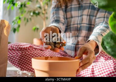 Femme ajoutant des cailloux d'argile expansés à un pot en terre cuite, le préparant pour rempoter une plante d'intérieur comme ficus lyrata, démontrant le soin et le passe-temps du jardinage en intérieur et de la transplantation de plantes Banque D'Images