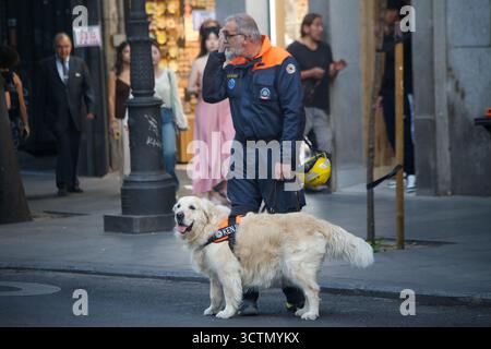 Madrid, Espagne, 7 octobre 2025 : un officier de la protection civile avec un chien de recherche lors de l'effondrement partiel d'un bâtiment dans le quartier de l'Opéra, le 7 octobre 2025, à Madrid, Espagne. Crédit : Alberto Brevers / Alamy Live News Banque D'Images