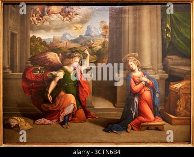 Annonciation, C. 1535, huile sur panneau, Benvenuto Tisi detto GAROFALO, Galerie des Offices, Galeria degli Offices, Florence, Florence, Florence, Florence, Toscane, Italie. Banque D'Images