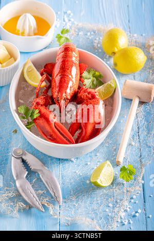 Homard épicé aromatisé aux agrumes, au beurre et aux herbes. Homard comme fruits de mer frais. Banque D'Images