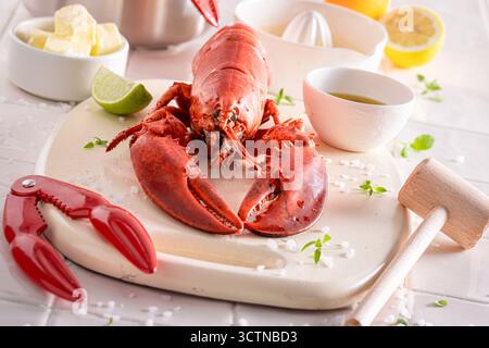 Teasty homard comme repas méditerranéen d'été dans le restaurant. Homard fait d'ingrédients méditerranéens. Banque D'Images