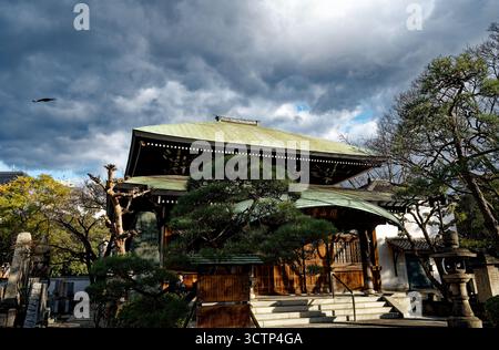 Le hall principal du temple Isshin-ji encadré par des pins bien entretenus et des nuages de tempête imminents Banque D'Images