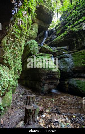 Cascade cachée et formations rocheuses de grès sombres couvertes de mousse dans la région d'Itaiacoca de Ponta Grossa, Parana, Brésil Banque D'Images