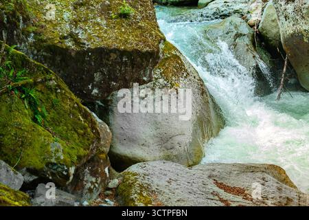 Ruisseau de montagne en cascade à travers des roches couvertes de mousse. Créer des éclaboussures blanches et un écoulement turbulent. Eau fraîche et claire se précipitant dans des rochers naturels Banque D'Images