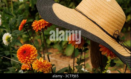 Un chapeau de paille vibrant repose doucement dans un beau champ rempli d'un éventail de fleurs colorées dansant dans la brise Banque D'Images