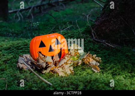 Panier à citrouille d'Halloween en plastique avec visage sculpté entouré de feuillage d'automne séché sur le sol boisé couvert de mousse pour la décoration extérieure saisonnière Banque D'Images