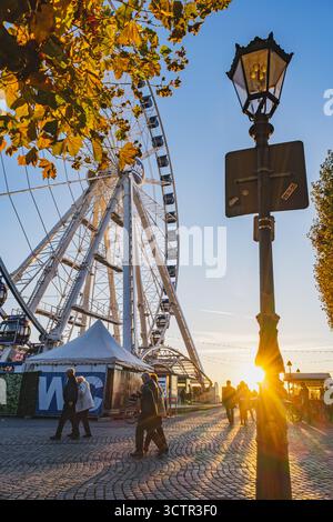 Vue panoramique sur la grande roue dans le vieux centre-ville de Dusseldorf avec le soleil couchant et les feuilles d'arbres jaunes. Fin octobre. Photo de haute qualité Banque D'Images