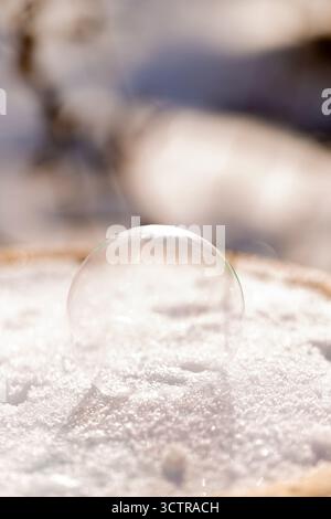 Photo macro d'une bulle de savon glacé transparente reposant sur de la neige blanche fraîche avec un doux soleil hivernal et un bokeh naturel Banque D'Images