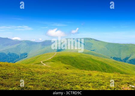 prairie de montagne en été. pâturage alpin vert par une journée ensoleillée. belle vue sur les alpes des carpates sous ciel bleu. paysage vallonné avec collines et meado Banque D'Images